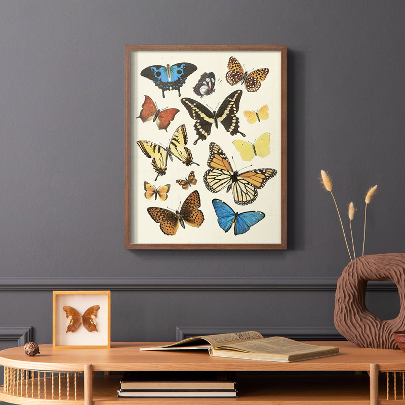 Collected Flutter II Framed Print - Solid Wood, Brown, 10" H x 8" W