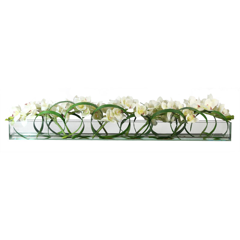 Casa Moderna Cymbidium Orchids and Loops of Grass Shoots in Glass Plate Planter