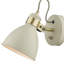 Azalea Spotlight-58964988