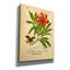 Toile épique Graffiti «Paeonia Peregrina Miller» par Art Licensing Studio, 12 po x 16 po-109176222