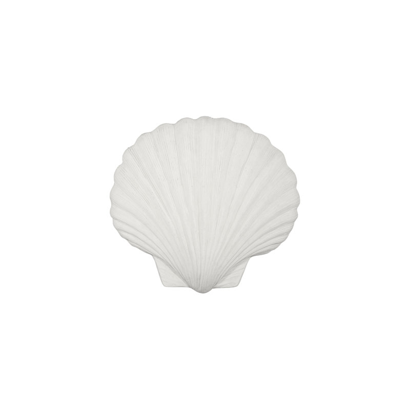 Sea Shell Wall Art, White Stone
