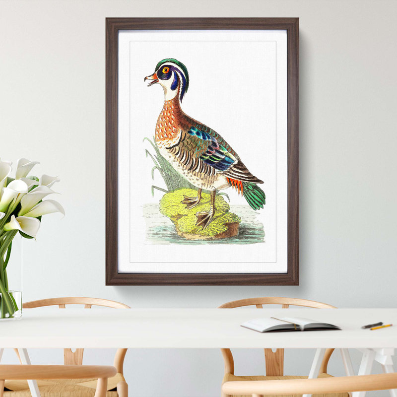 Summer Duck by George Shaw - Picture Frame Painting Print, 36cm H x 27cm W x 2cm D, Walnut Framed
