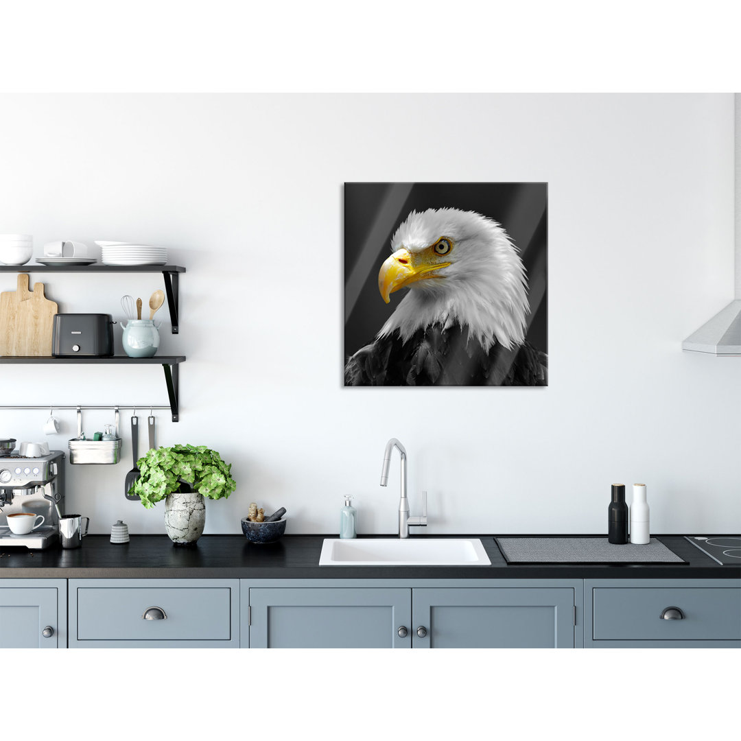 Glasbild Beeindruckender Weißkopfseeadler