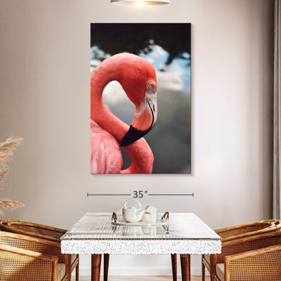 Flamingo Curve