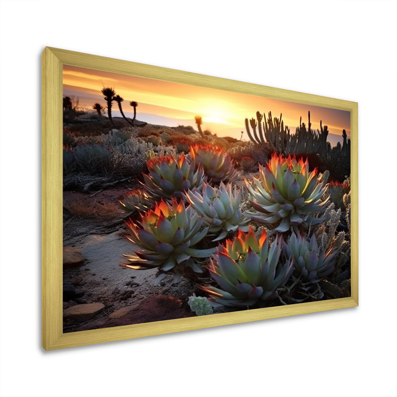 «Succulent Desert Cactus Field Burning Sunset III» - Art mural succulent, H 24 po x l 32 po x P 1 po, Cadre doré simple