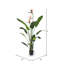 Faux Plant in Pot-1024463530