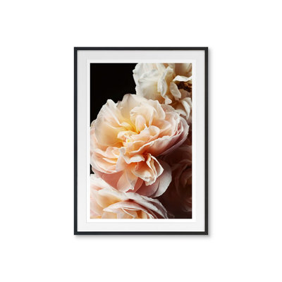 Floribunda I Print by Bock, Alicia