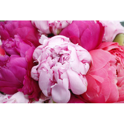 Bouquet with Peonies by Gaps