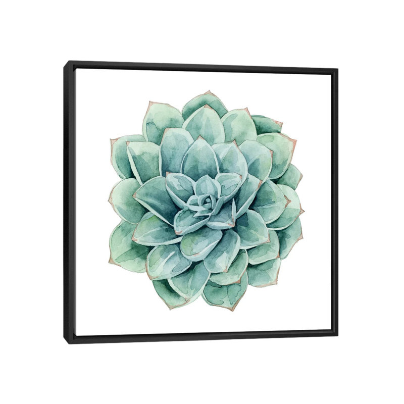 « succulent nuanciers i », impression sur toile, H 18 po x l 18 po x P 1,5 po, Toile encadrée noire, Pas de tapis