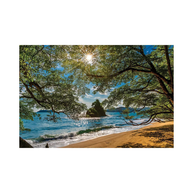 Plage, parc national du Corcovado, péninsule d'Osa, Costa Rica par Panoramic Images - reproduction de photo sur toile tendue