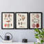 Shell Collection IV - Ensemble de 3 peintures sur toiles encadrées-2098524075-2098524074