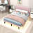 Queen Size Upholstered Bed-436499635