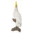 Cockatoo Figurine