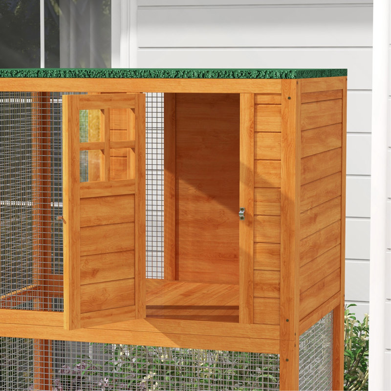 Enclos à chat orange en bois 74 po, maison d'extérieur à roulettes pour grands chats, abri Delight grande couleur