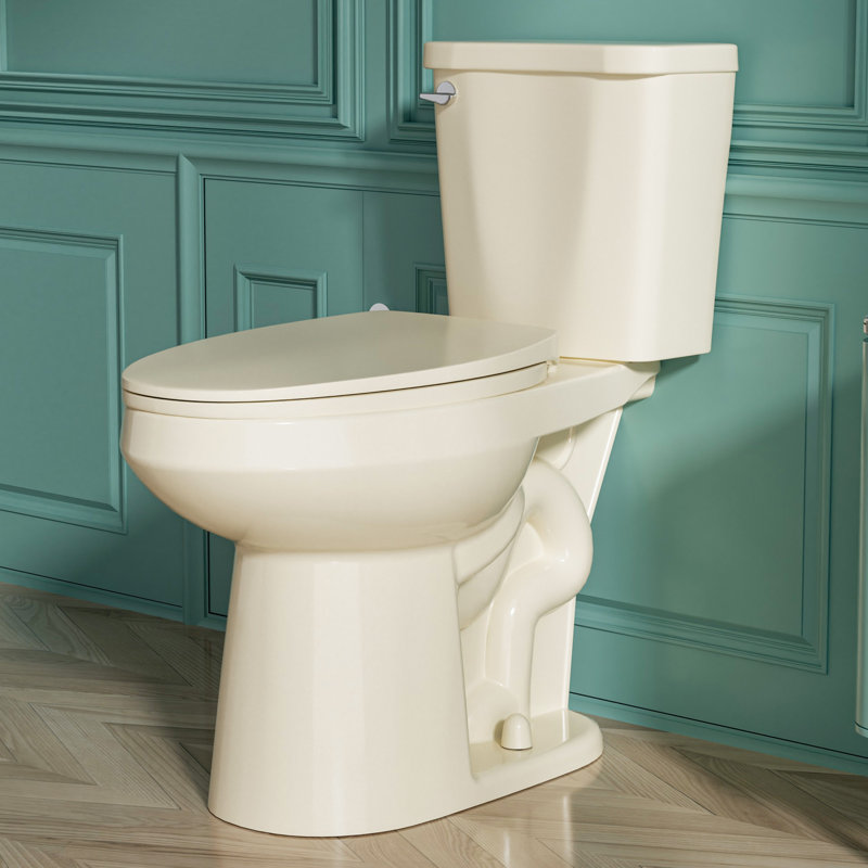 Aguamaph 20 in. White Elongated Two-Piece Toilet with Seat