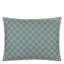 Lemons Canvas Decorative Pillow