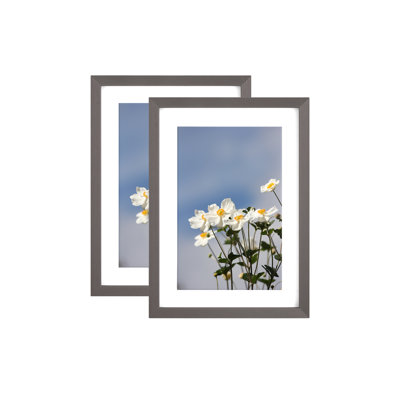 Metal Rectangular Picture Frame with Mat