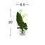 Succulentes et lys Calla disposés dans un vase en verre
