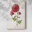 Botanical III - Cavas enveloppés de galerie