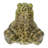 American Bullfrog