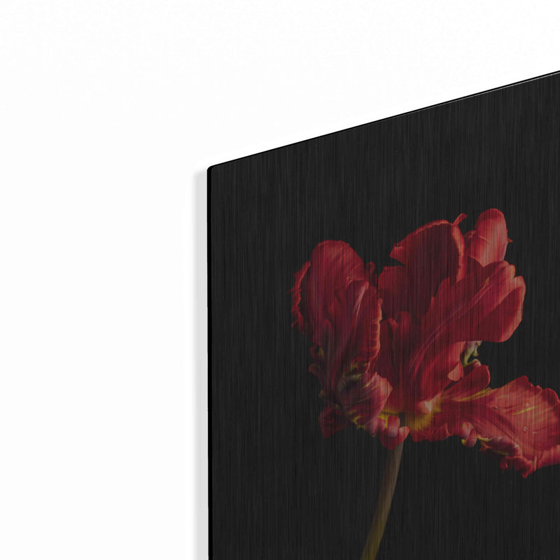 «Rippled Red Beauty» par Leah McLean, H 16 po x l 12 po