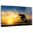 Sireci Cycling Silhouette-107687747