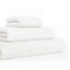 Bath Sheet-427528485