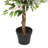 Faux Foliage Ficus Indoor Outdoor Green Artificial Tree with Realistic Leaves and Black Plastic Pot