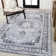 Frutuosa Bohemian Distressed Chenille Machine-Washable Gray/White Rug