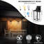 Matte Black 26.5cm H Outdoor Sconce