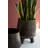  Decorative Iron Planters with Legs – 17" Tall Set of 2