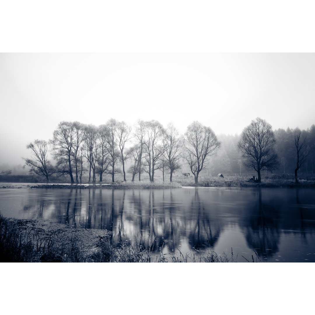 Wald von Fzant - Leinwandbild