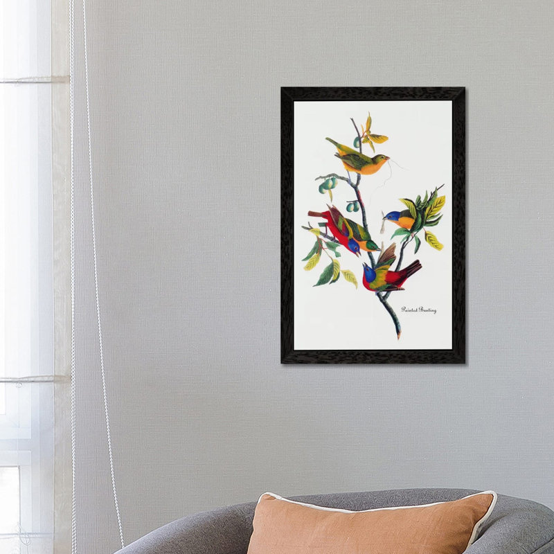 Painted Bunting by John Audubon - Painting on Canvas, 101.6 cm H x 66.04 cm W, Black Framed