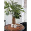 Bone China Table Vase-1388746892