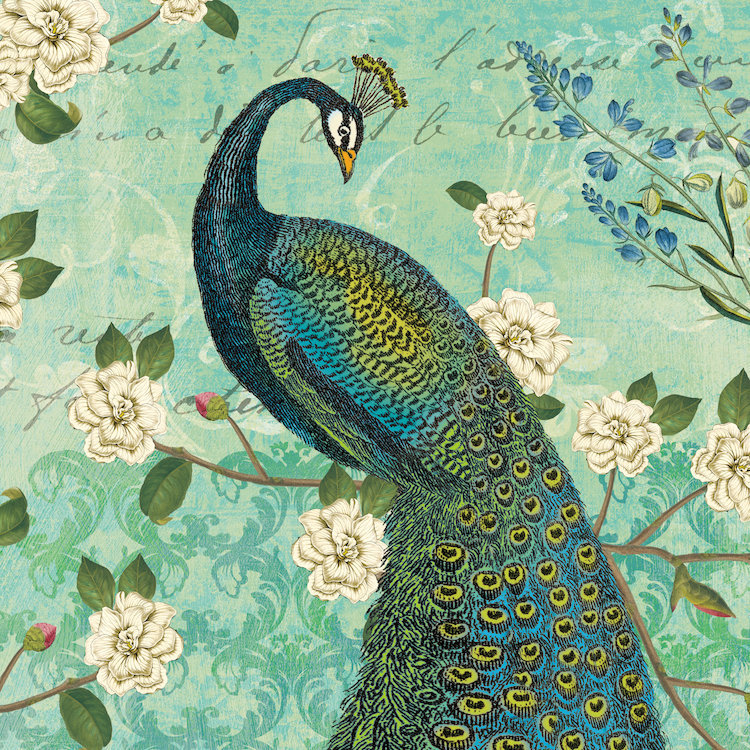 Peacock Arbor VI, impression sur toile tendue, H 24 po x l 24 po x P 1 po, Papier beaux-arts encadré noir, Blanc