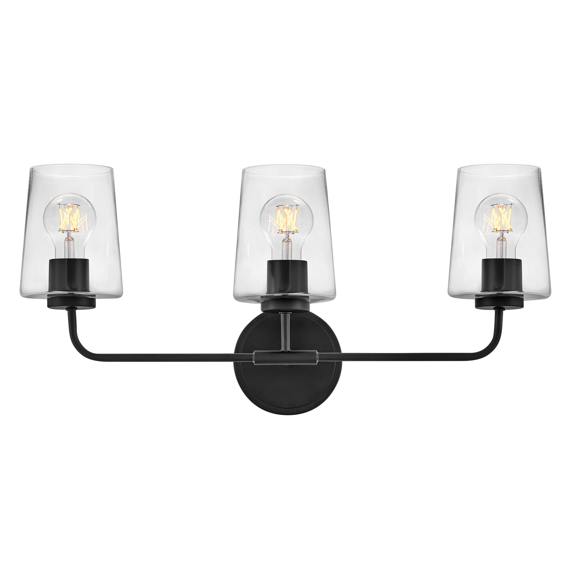 Verbena 3 Light Transparent Dimmable Vanity Light, Black