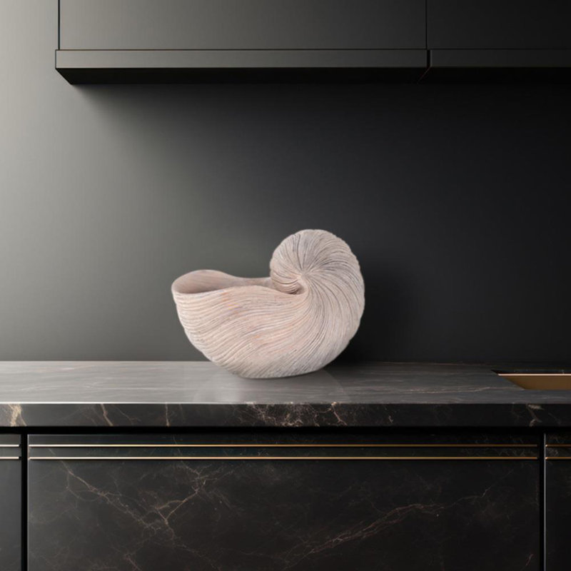 Nautilus Shell