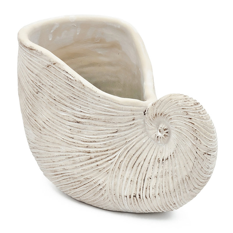 Alariz Textured Beige Finish Sand And Cement Shell Planter For Succulents Bringing Tranquility To Your 11.5X6.7X7.7 Inches In Appearance With Neutral Colorway Herb Arrangement Bathroom