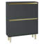 Bellandra Iliana 2 Door Shoe Cabinet-842286678