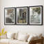 Vintage Portrait Print XV-699722172-699722173