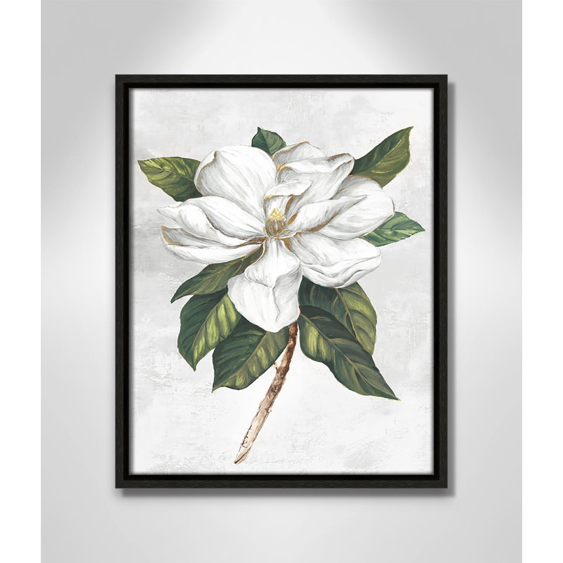 «Pearly Beauty I Print» par Eva Watts, Toile avec cadre, L 12,5 po x H 15,5 po, Espresso Floater