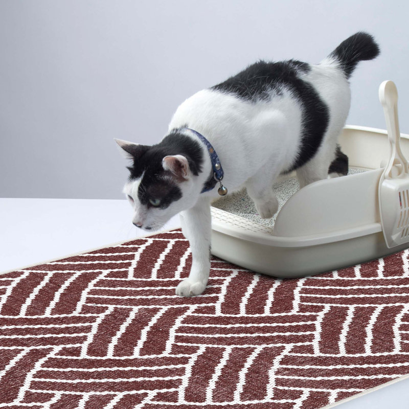 Tapis de litière, Marron