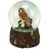 Tabletop Or Desk Globe