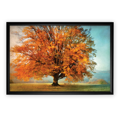 " Autumn "