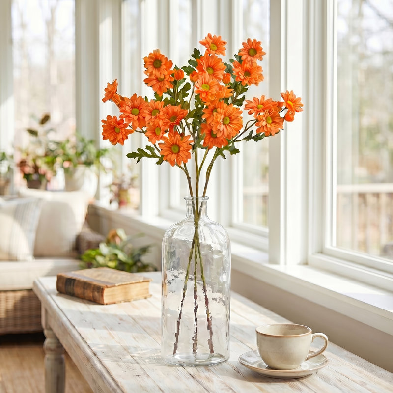 Marguerite marguerite X7 + 3bud 25 po , Orange
