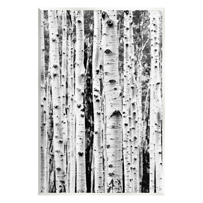 "Stupell Industries", art mural sur bois de bouleaux par Sissi et Seb