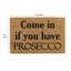  40 x 60 cm Non-slip Indoor / Outdoor Doormat