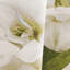 Ted Baker Gardenia Multi 50 X 84 Curtain Panel Pair (Set Of 2)-1307037266
