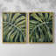 Reproduction encadrée Nocturnal Monstera I-Premium - prête à être accrochée - aucun clou requis - aucun clou requis-93118137-93118134