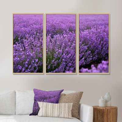 Blooming Purple Lavender Field - Photographie flottante sur toile, 3 pièces